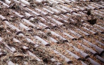 Ipsden roof cleaning companies