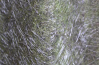 Ipsden fibreglass roof work
